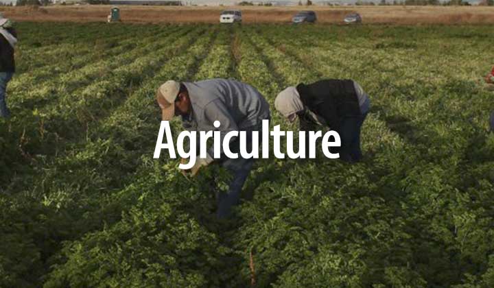 Agriculture