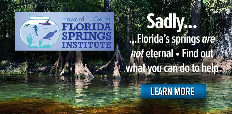 Florida Springs Institute